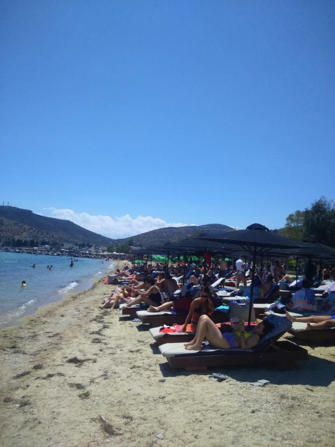 Apostolia Lux Apartments Volos Eksteriør bilde